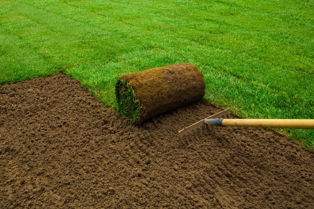 turf grass being placed in a yard