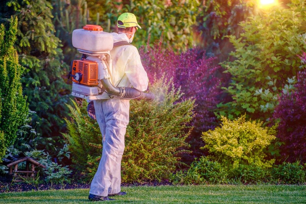 Pest Control Garden Spraying by Professional Gardener Who Wearing Safety Wearing