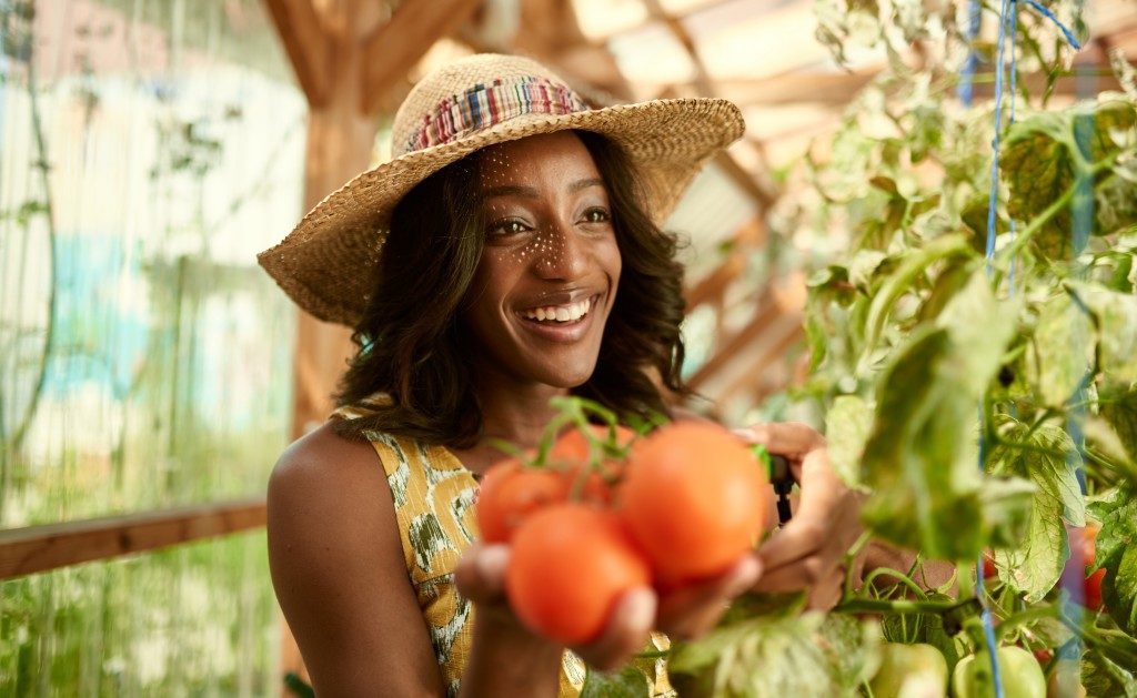 woman with garden tomatoes