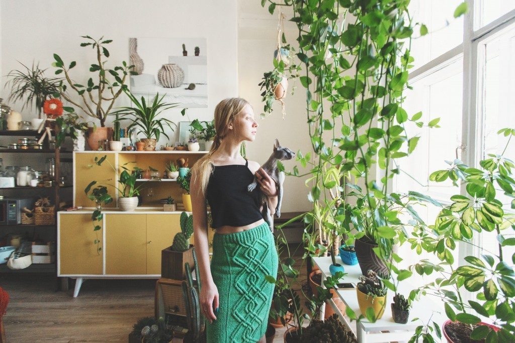 Using plants for indoor design