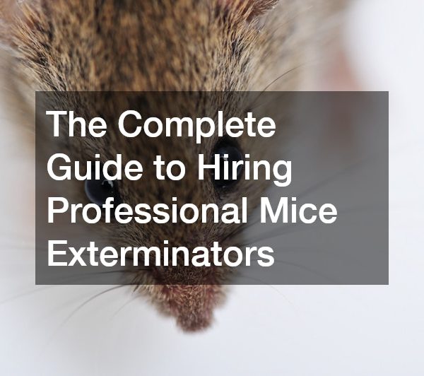 The Complete Guide to Hiring Professional Mice Exterminators